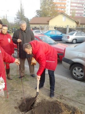 Senatorul Mircea Banias va planta 500 de copăcei în municipiul Constanţa